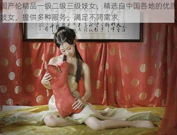 国产伦精品一级二级三级妓女，精选自中国各地的优质妓女，提供多种服务，满足不同需求