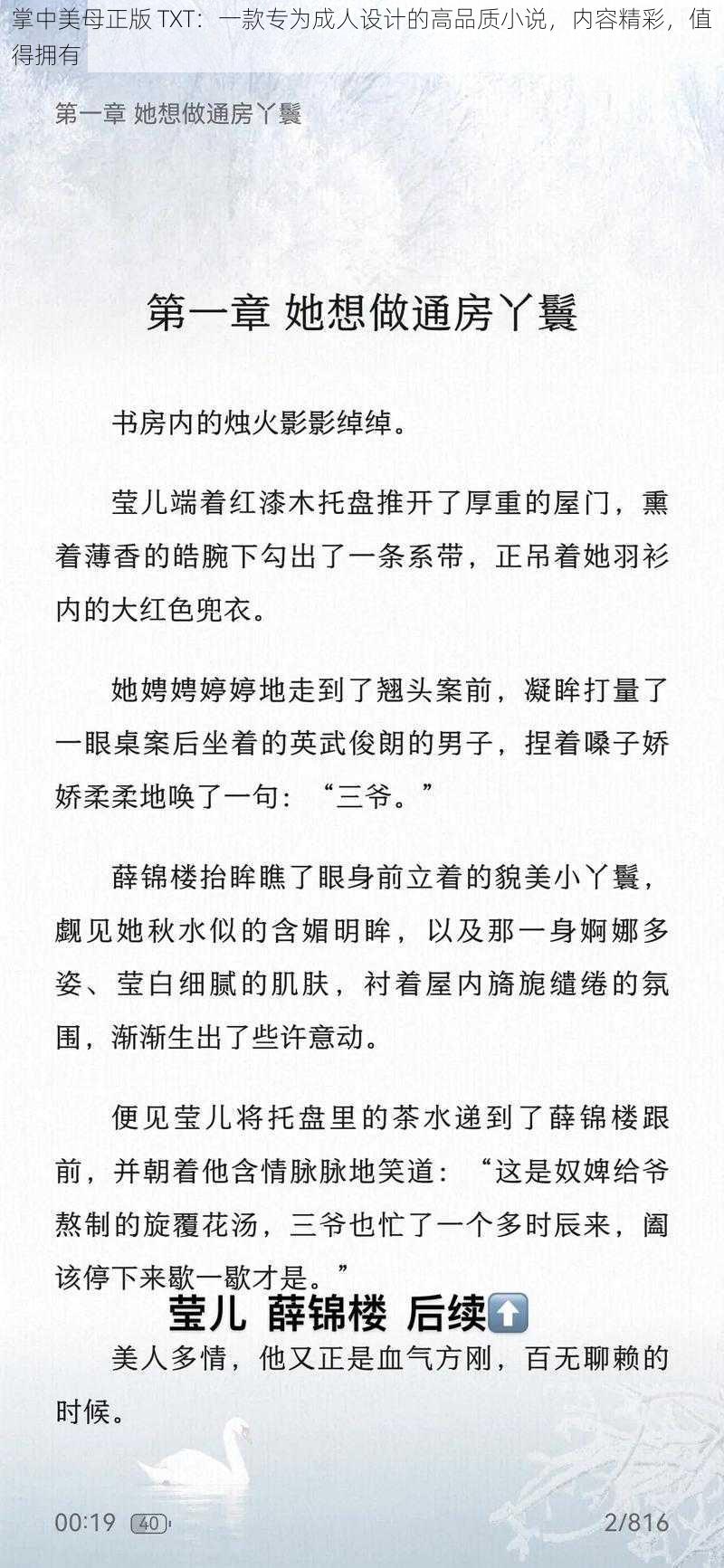 掌中美母正版 TXT：一款专为成人设计的高品质小说，内容精彩，值得拥有