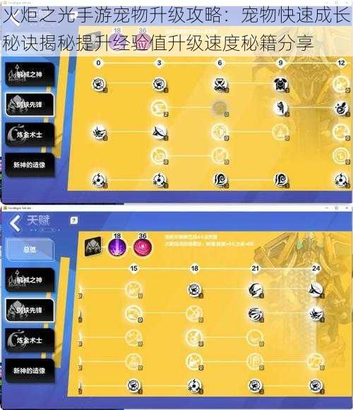 火炬之光手游宠物升级攻略：宠物快速成长秘诀揭秘提升经验值升级速度秘籍分享