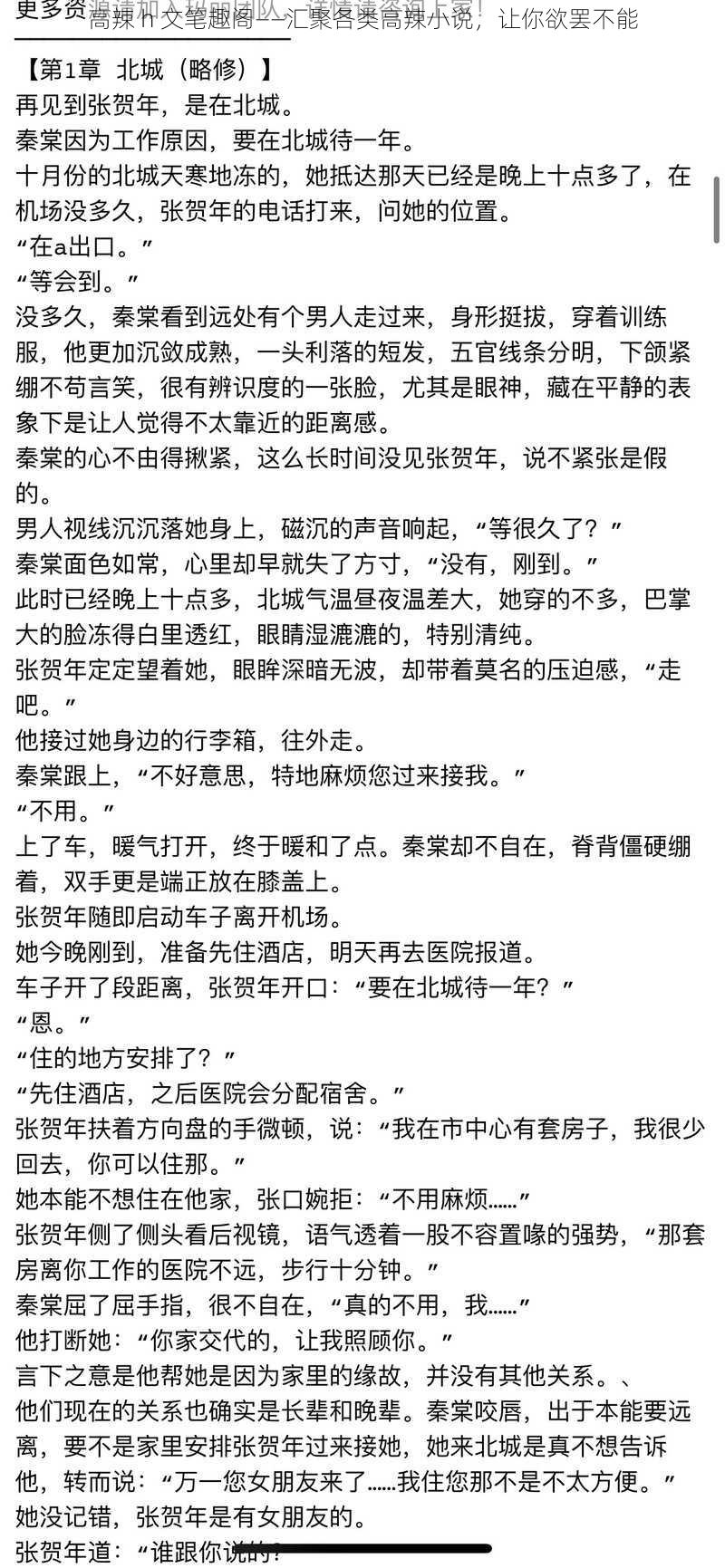 高辣 h 文笔趣阁——汇聚各类高辣小说，让你欲罢不能