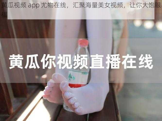 黄瓜视频 app 尤物在线，汇聚海量美女视频，让你大饱眼福