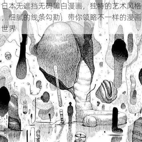 日本无遮挡无码黑白漫画，独特的艺术风格，细腻的线条勾勒，带你领略不一样的漫画世界