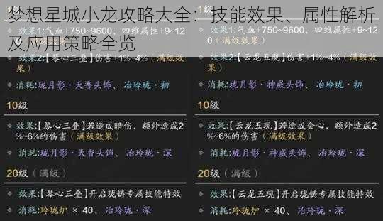 梦想星城小龙攻略大全：技能效果、属性解析及应用策略全览