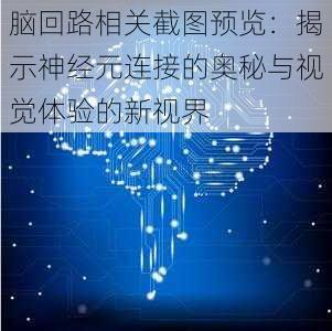 脑回路相关截图预览：揭示神经元连接的奥秘与视觉体验的新视界