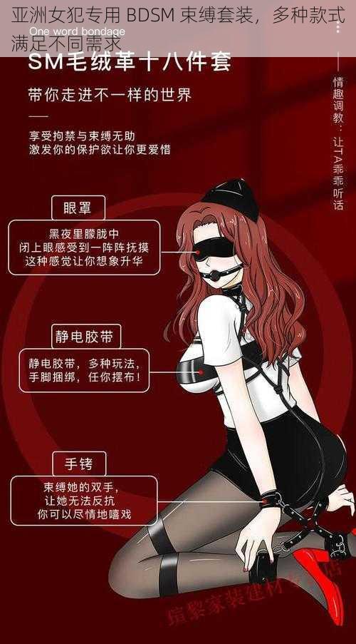 亚洲女犯专用 BDSM 束缚套装，多种款式满足不同需求