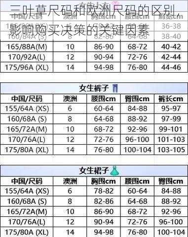 三叶草尺码和欧洲尺码的区别，影响购买决策的关键因素