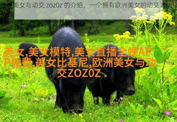 欧洲美女与动交 zoz0z 的介绍，一个拥有欧洲美女的动交 zoz0z 产品