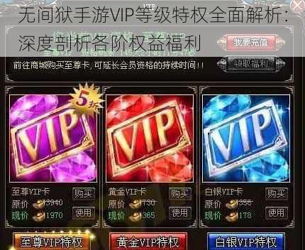 无间狱手游VIP等级特权全面解析：深度剖析各阶权益福利