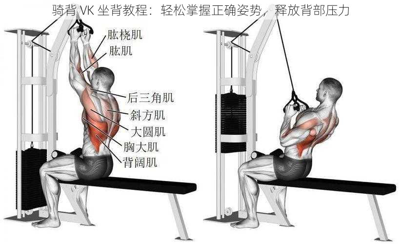 骑背 VK 坐背教程：轻松掌握正确姿势，释放背部压力