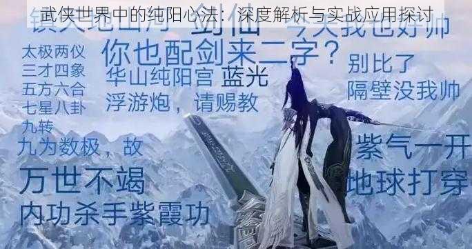 武侠世界中的纯阳心法：深度解析与实战应用探讨