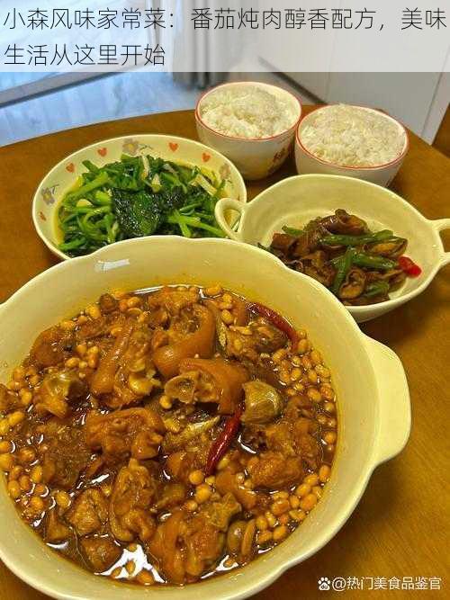 小森风味家常菜：番茄炖肉醇香配方，美味生活从这里开始