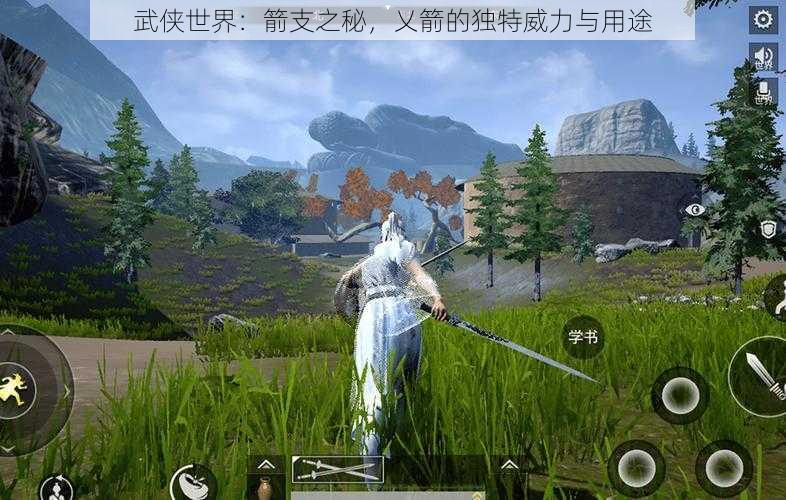 武侠世界：箭支之秘，乂箭的独特威力与用途