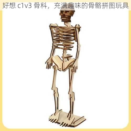 好想 c1v3 骨科，充满趣味的骨骼拼图玩具