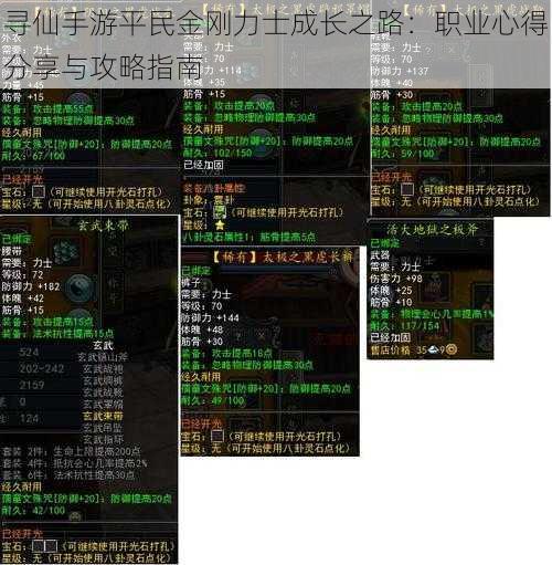 寻仙手游平民金刚力士成长之路：职业心得分享与攻略指南