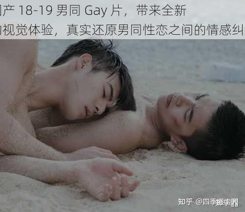 国产 18-19 男同 Gay 片，带来全新的视觉体验，真实还原男同性恋之间的情感纠葛