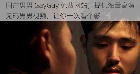 国产男男 GayGay 免费网站，提供海量高清无码男男视频，让你一次看个够