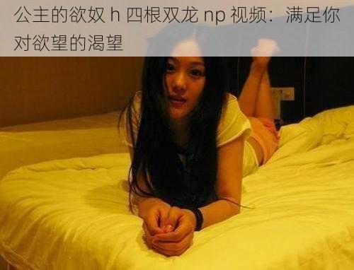 公主的欲奴 h 四根双龙 np 视频：满足你对欲望的渴望