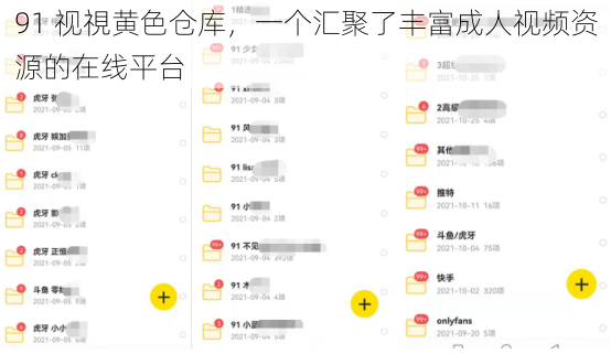 91 视視黄色仓库，一个汇聚了丰富成人视频资源的在线平台