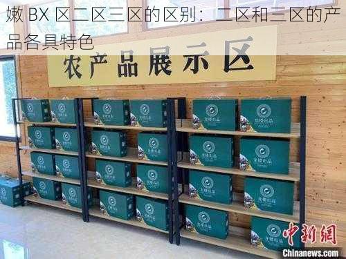 嫩 BX 区二区三区的区别：二区和三区的产品各具特色