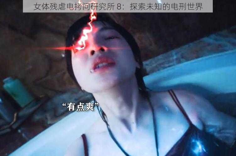 女体残虐电拷问研究所 8：探索未知的电刑世界