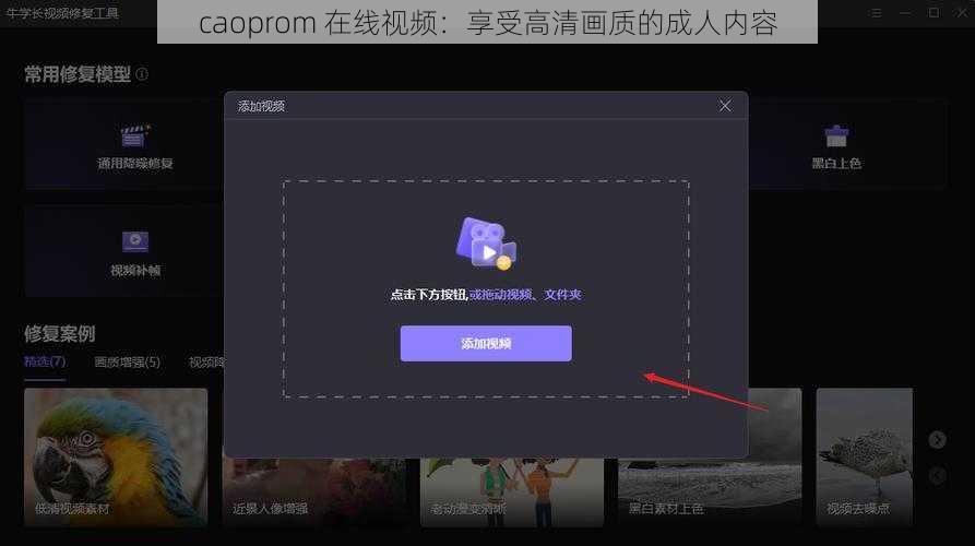 caoprom 在线视频：享受高清画质的成人内容