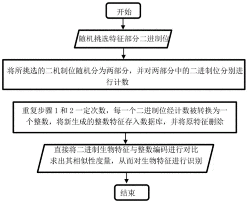 二进制领域双显卡切换难题解析与应对策略：实用解决方案揭秘