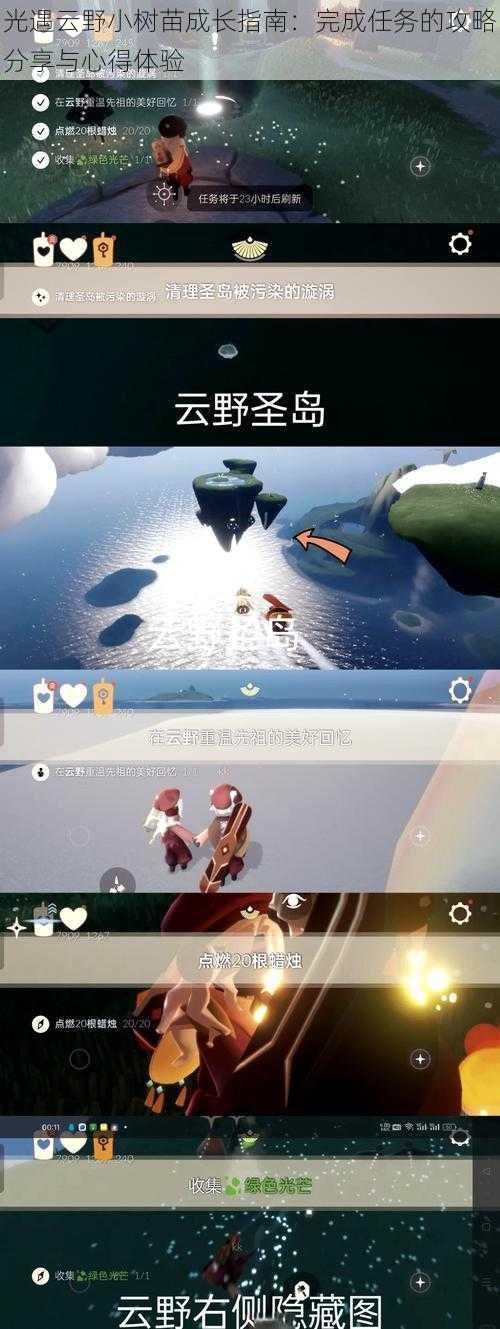 光遇云野小树苗成长指南：完成任务的攻略分享与心得体验
