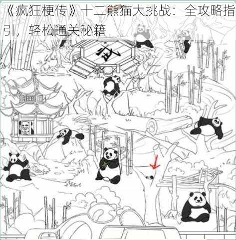 《疯狂梗传》十二熊猫大挑战：全攻略指引，轻松通关秘籍