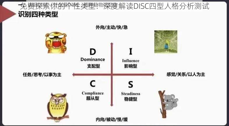 免费探索你的个性类型：深度解读DISC四型人格分析测试