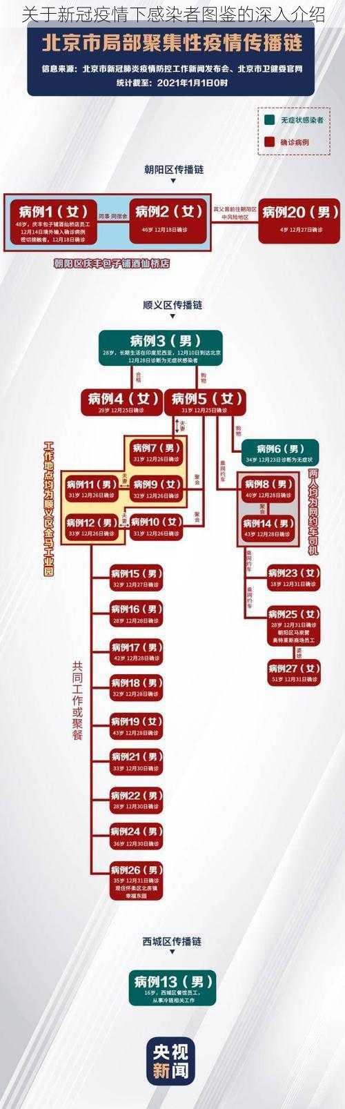 关于新冠疫情下感染者图鉴的深入介绍