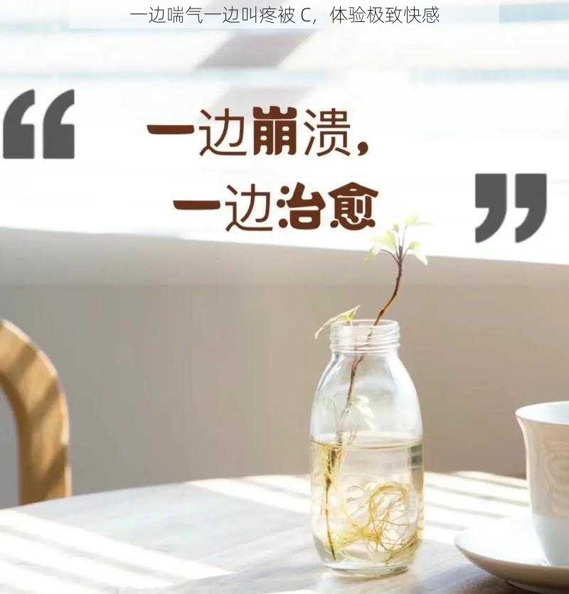 一边喘气一边叫疼被 C，体验极致快感