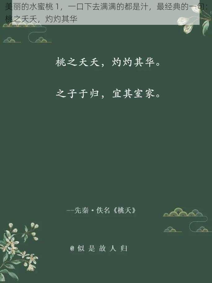 美丽的水蜜桃 1，一口下去满满的都是汁，最经典的一句：桃之夭夭，灼灼其华