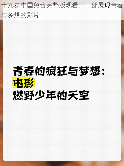 十九岁中国免费完整版观看：一部展现青春与梦想的影片