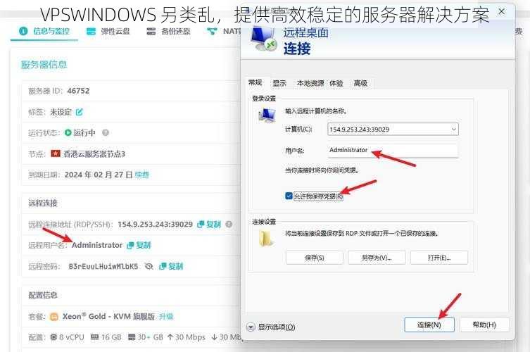 VPSWINDOWS 另类乱，提供高效稳定的服务器解决方案