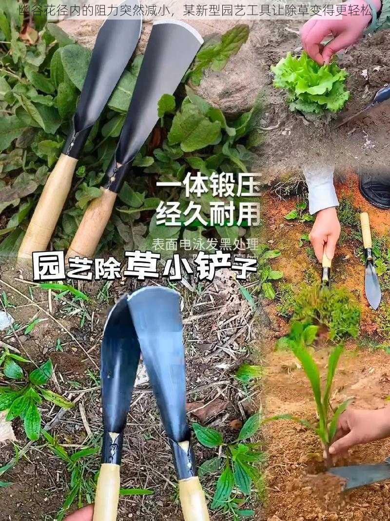 幽谷花径内的阻力突然减小，某新型园艺工具让除草变得更轻松