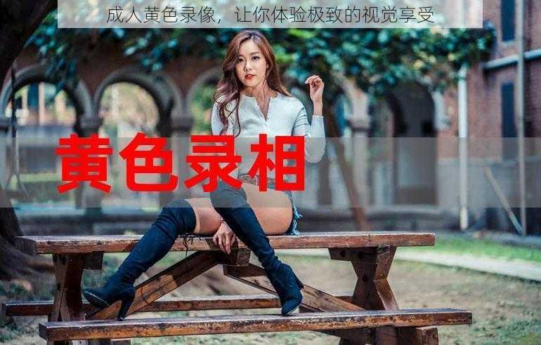 成人黄色录像，让你体验极致的视觉享受