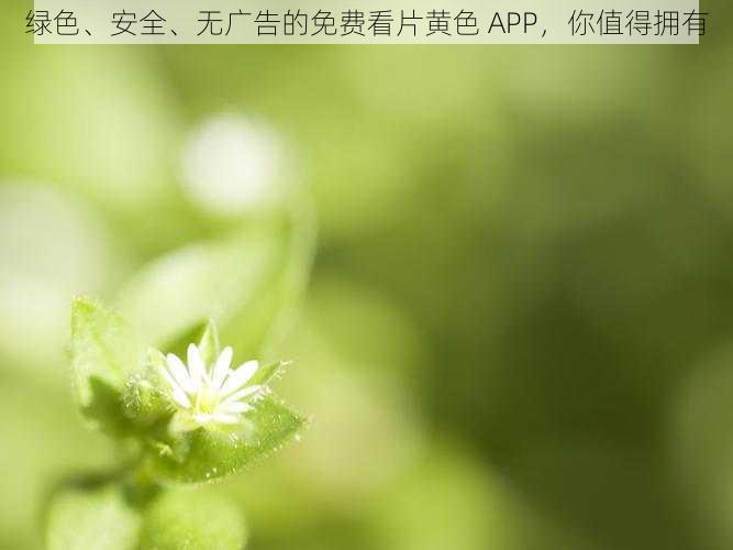 绿色、安全、无广告的免费看片黄色 APP，你值得拥有