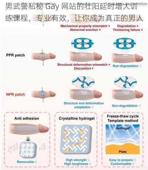 男武警私秘 Gay 网站的壮阳延时增大训练课程，专业有效，让你成为真正的男人