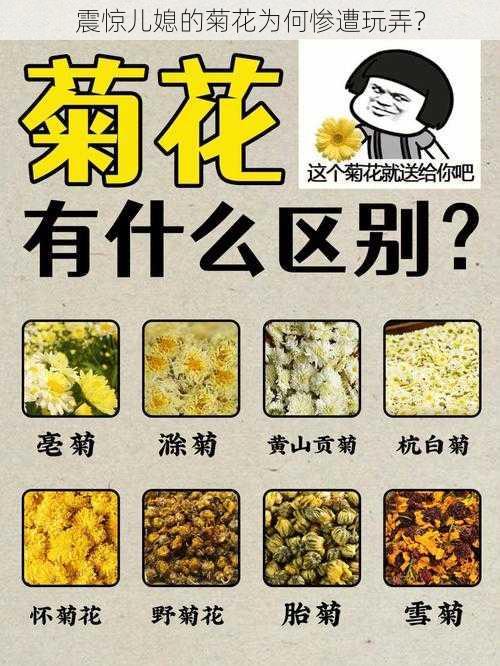 震惊儿媳的菊花为何惨遭玩弄？