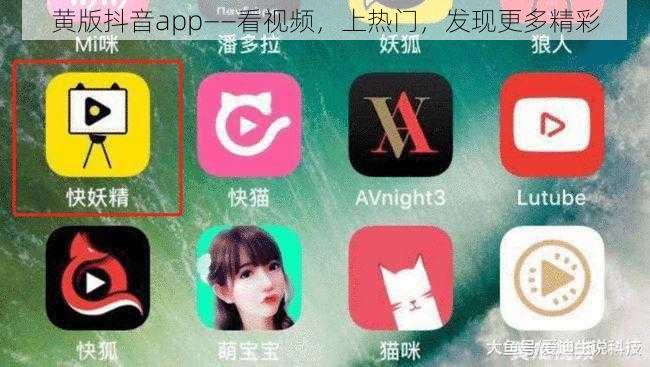 黄版抖音app——看视频，上热门，发现更多精彩