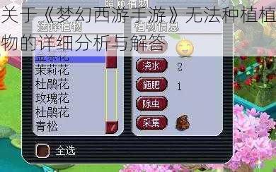 关于《梦幻西游手游》无法种植植物的详细分析与解答