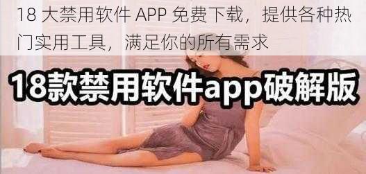 18 大禁用软件 APP 免费下载，提供各种热门实用工具，满足你的所有需求