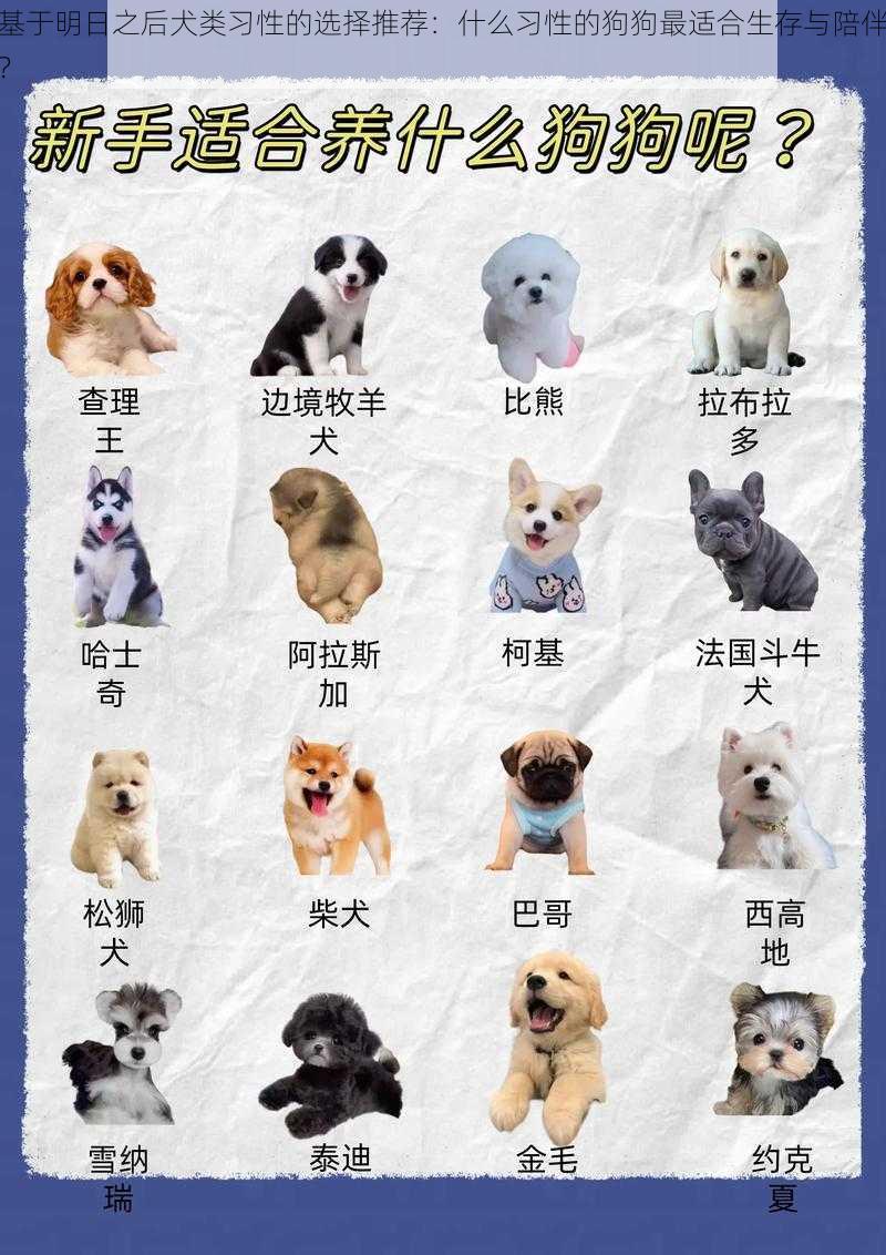 基于明日之后犬类习性的选择推荐：什么习性的狗狗最适合生存与陪伴？