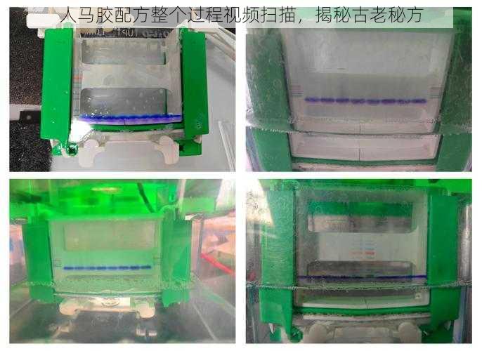 人马胶配方整个过程视频扫描，揭秘古老秘方