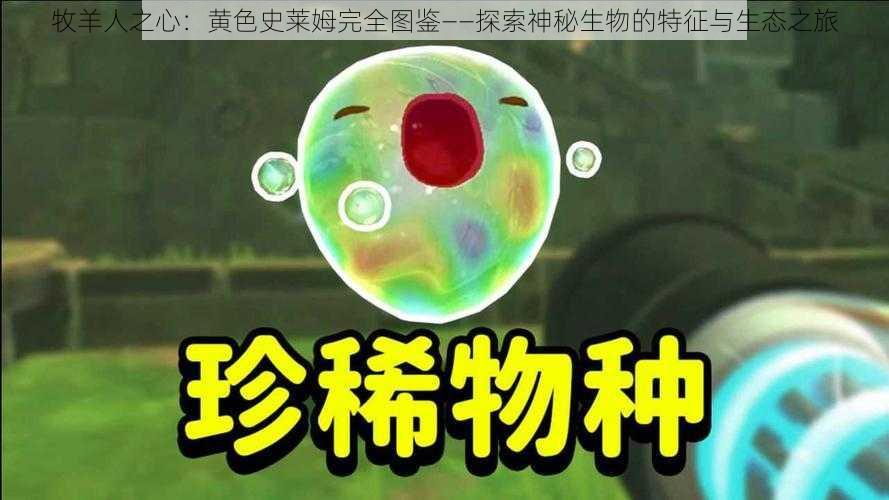 牧羊人之心：黄色史莱姆完全图鉴——探索神秘生物的特征与生态之旅