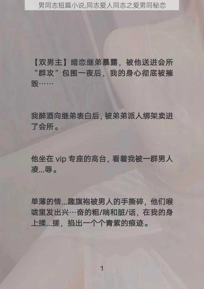 男同志短篇小说,同志爱人同志之爱男同秘恋