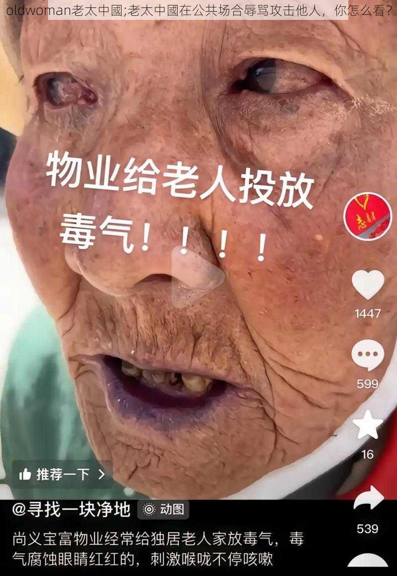 oldwoman老太中國;老太中國在公共场合辱骂攻击他人，你怎么看？