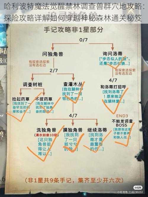 哈利波特魔法觉醒禁林调查兽群穴地攻略：探险攻略详解如何穿越神秘森林通关秘笈