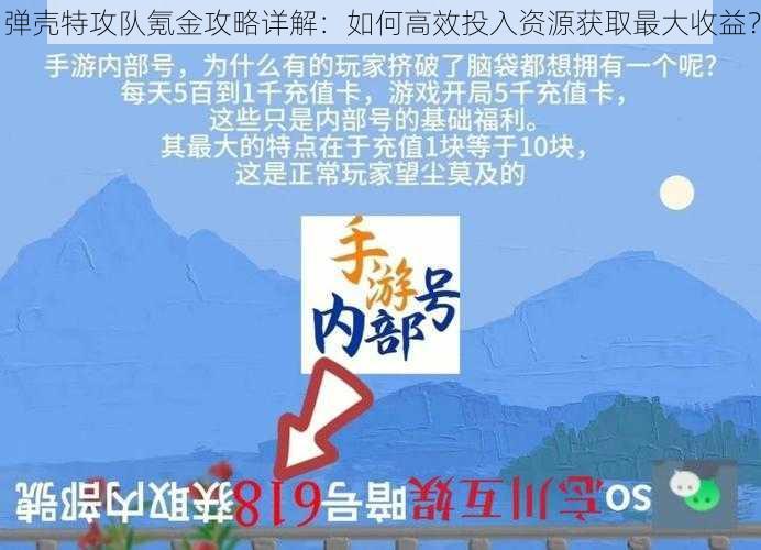 弹壳特攻队氪金攻略详解：如何高效投入资源获取最大收益？