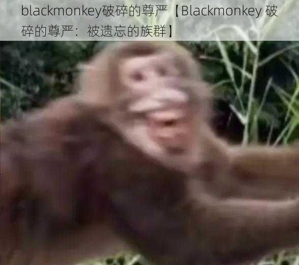 blackmonkey破碎的尊严【Blackmonkey 破碎的尊严：被遗忘的族群】